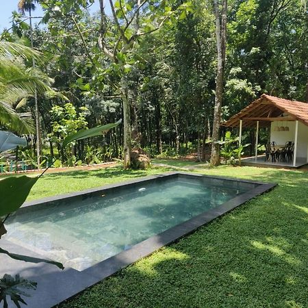 Pool Villa - The Humming Trees, Pala Lalam Екстер'єр фото